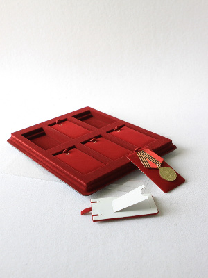 Планшет S (243х304х21 мм) на 6 ячеек (55х105х9 мм) (с флокированными вставками) Планшет S (243х304х21 мм) на 6 ячеек (55х105х9 мм) (с флокированными вставками)