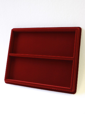 Планшет S (243х304х21 мм) на 2 ячейки (99х267х16 мм) Планшет S (243х304х21 мм) на 2 ячейки (99х267х16 мм)