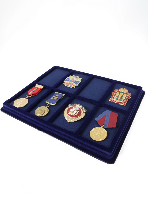 Планшет S (243х304х21 мм) на 8 ячеек (98х60х17 мм) (с поролоновой вставкой) Планшет S (243х304х21 мм) на 8 ячеек (98х60х17 мм) (с поролоновой вставкой)