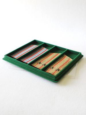 Планшет S (243х304х21 мм) на 4 ячейки (210х64х17 мм) Планшет S (243х304х21 мм) на 4 ячейки (210х64х17 мм)