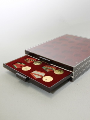 Кассета МВ на 10 медалей РФ d-32 мм с пятиугольной колодкой Кассета МВ на 10 медалей РФ d-32 мм с пятиугольной колодкой