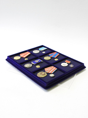 Планшет S (243х304х21 мм) на 6 ячеек (85х100х16 мм) (с поролоновой вставкой) Планшет S (243х304х21 мм) на 6 ячеек (85х100х16 мм) (с поролоновой вставкой)