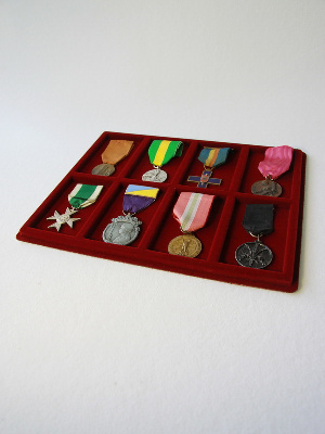 Планшет S (234х296х12 мм) на 8 ячеек (98х60х8 мм) Планшет S (234х296х12 мм) на 8 ячеек (98х60х8 мм)