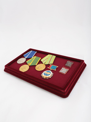 Планшет M (150х239х20 мм) на 1 ячейку (118х207х16 мм) с поролоновой вставкой Планшет M (150х239х20 мм) на 1 ячейку (118х207х16 мм) с поролоновой вставкой