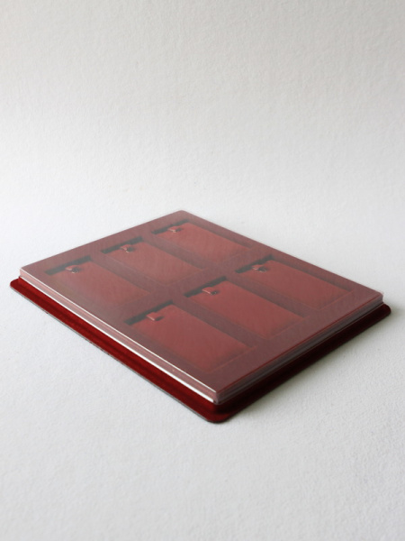 Планшет S (243х304х21 мм) на 6 ячеек (55х105х9 мм) (с флокированными вставками), тёмно-бордовый Планшет S (243х304х21 мм) на 6 ячеек (55х105х9 мм) (с флокированными вставками), тёмно-бордовый