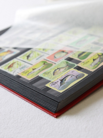 Альбом для марок (кляссер BASIC). A4. 32 листа (64 страницы) из чёрного картона с промежуточными листами из пергамина. Красный. Leuchtturm, 330026 / 300297