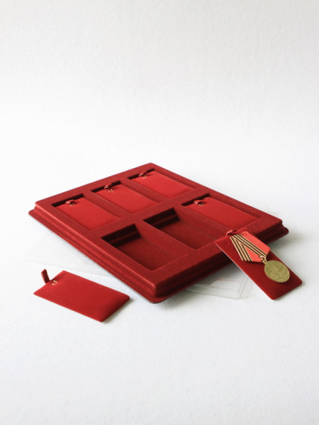 Планшет S (243х304х21 мм) на 6 ячеек (55х105х9 мм) (с флокированными вставками), тёмно-бордовый Планшет S (243х304х21 мм) на 6 ячеек (55х105х9 мм) (с флокированными вставками), тёмно-бордовый