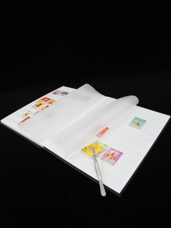 Альбом для марок (кляссер BASIC). A4. 8 листов (16 страниц) из белого картона с промежуточными листами из пергамина. Чёрный. Leuchtturm, 318548
