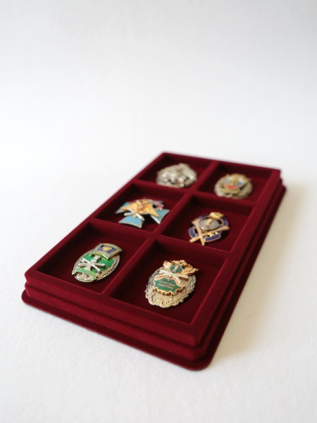 Планшет M (150х239х20 мм) на 6 ячеек (56х64х10 мм) (под знаки с винтом), тёмно-бордовый Планшет M (150х239х20 мм) на 6 ячеек (56х64х10 мм) (под знаки с винтом), тёмно-бордовый